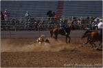 Tucson Rodeo 35