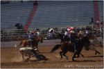 Tucson Rodeo 37