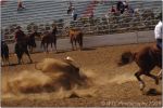 Tucson Rodeo 38