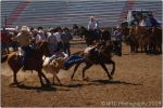 Tucson Rodeo 40