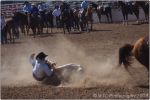 Tucson Rodeo