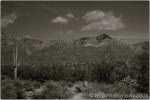 1st Tucson B&W 2