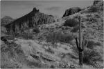 1st Tucson B&W 13