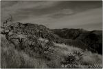 1st Tucson B&W 14