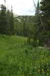 co_brainard_july10_059.jpg