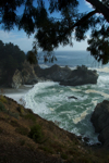 cali_bigsur_0910_085.jpg