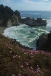 cali_bigsur_0910_088.jpg