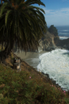 cali_bigsur_0910_108.jpg