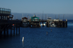 cali_monterey_aug10_002.jpg