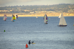 cali_monterey_aug10_049.jpg