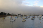 cali_monterey_aug10_053.jpg