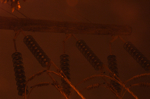 cali_powernight_aug10_065.jpg