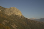 Sequoia NP