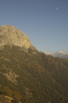 cali_sequoia_1110_189.jpg