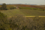 cali_sonoma_1110_080.jpg