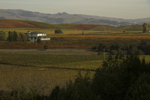 cali_sonoma_1110_082.jpg