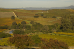 cali_sonoma_1110_092.jpg