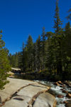 cali_yosemite_1010_165.jpg