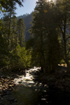 cali_yosemite_1010_280.jpg