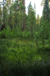 cali_yosemite_1010_353.jpg