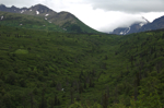 alaska_chugach_july10_055.jpg