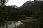 alaska_chugach_july10_133.jpg