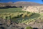 SCT_Bolivia_050_SaltFlats.jpg