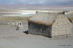 SCT_Bolivia_115_SaltFlats.jpg