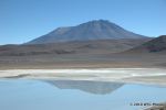 SCT_Bolivia_135_SaltFlats.jpg