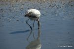 SCT_Bolivia_142_SaltFlats.jpg