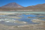 SCT_Bolivia_143_SaltFlats.jpg