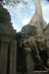 SCT_Cambodia_156_Angkor.jpg