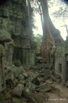 SCT_Cambodia_187_Angkor.jpg