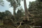 SCT_Cambodia_195_Angkor.jpg