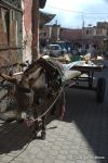 SCT_Morocco_025_Marrakesh.jpg