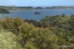 SCT_NZ_056_TaurangaBay.jpg