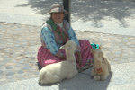 SCT_Peru_148_Arequipa.jpg