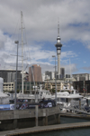 shorty_nz_auckland_0312_06.jpg