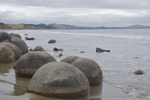 shorty_nz_catlins_0212_14.jpg