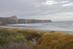 shorty_nz_catlins_0212_39.jpg