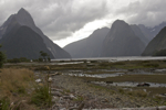 shorty_nz_fjordlands_0212_049.jpg