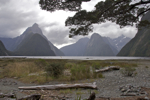 shorty_nz_fjordlands_0212_074.jpg