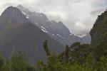 shorty_nz_fjordlands_0212_092.jpg