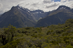 shorty_nz_fjordlands_0212_152.jpg